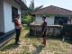 Pendampingan Penunjukan Batas Tanah di Kelurahan Pendem, Kantah Jembrana Pastikan Kepastian Hukum