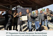 PEDULI LINGKUNGAN, PEGADAIAN KANWIL VII DENPASAR DUKUNG PELESTARIAN PENYU DI KPP JAGAT KERTHI