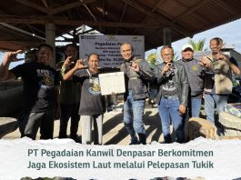 PEDULI LINGKUNGAN, PEGADAIAN KANWIL VII DENPASAR DUKUNG PELESTARIAN PENYU DI KPP JAGAT KERTHI