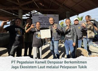 PEDULI LINGKUNGAN, PEGADAIAN KANWIL VII DENPASAR DUKUNG PELESTARIAN PENYU DI KPP JAGAT KERTHI