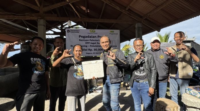 PEDULI LINGKUNGAN, PEGADAIAN KANWIL VII DENPASAR DUKUNG PELESTARIAN PENYU DI KPP JAGAT KERTHI